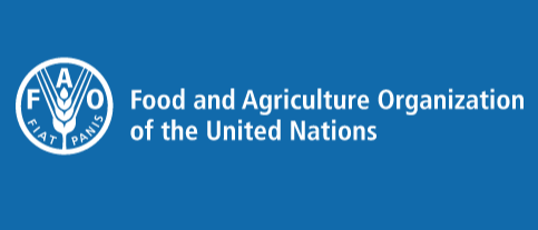 Trayectos de capacitación