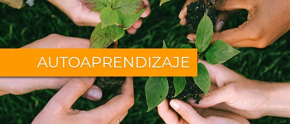 Agroecología: Transición hacia sistemas alimentarios sostenibles