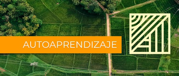 Cinco pasos para construir un emprendimiento regenerativo