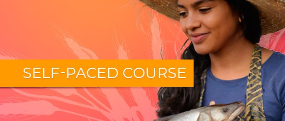 Introduction to Trade, Food Security and Nutrition 