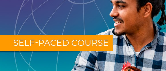 Trade Policy Supportive of Food Security and Nutrition