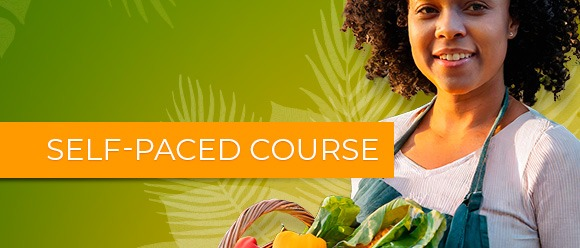 Governance of Trade, Food Security and Nutrition