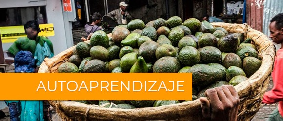 Gobernanza del comercio, la seguridad alimentaria y la nutrición