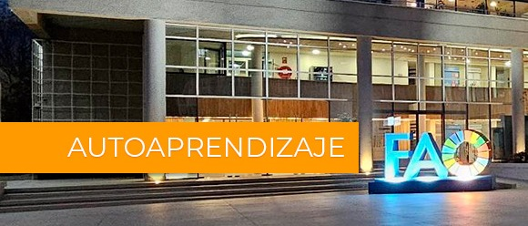 Inducción para Gerentes de Proyectos FAO