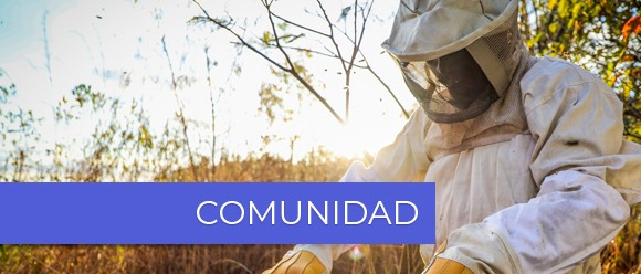 Gestión del conocimiento - Polinizadores