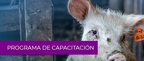 Trayecto de Capacitación: Fortalecimiento de Capacidades en Sanidad animal, Bioseguridad y Conservación de Polinizadores en la Región Andina