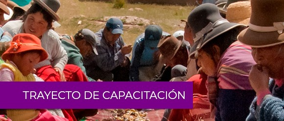 Trayecto de capacitación: Sistemas agroalimentarios sostenibles en la sierra peruana