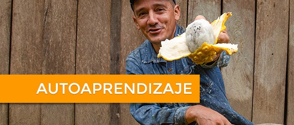 Sistemas agroalimentarios urbanos (SAU)