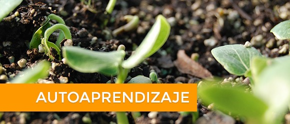 Bioinsumos: el aliado natural para una agricultura sostenible