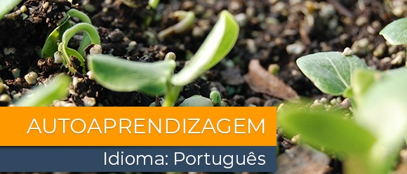 Bioinsumos: o aliado natural para uma agricultura sustentável