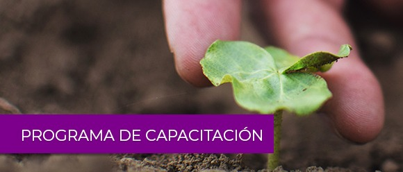 Trayectos FAO-UGR: Innovación, Resiliencia y Sostenibilidad Agroalimentaria