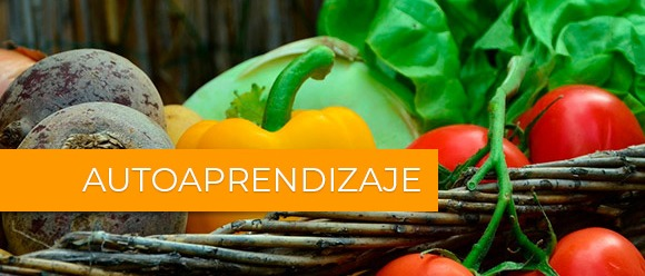 Ambientes alimentarios más saludables y sostenibles en Colombia