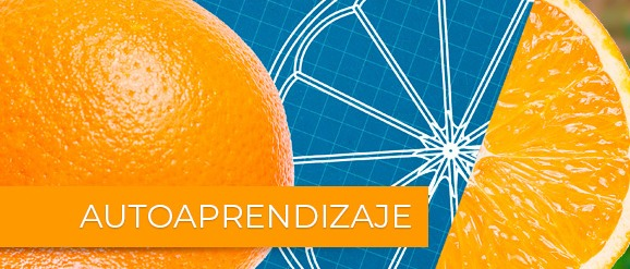 De Proyecto a Programa Una Co-construcción permanente - Autoaprendizaje