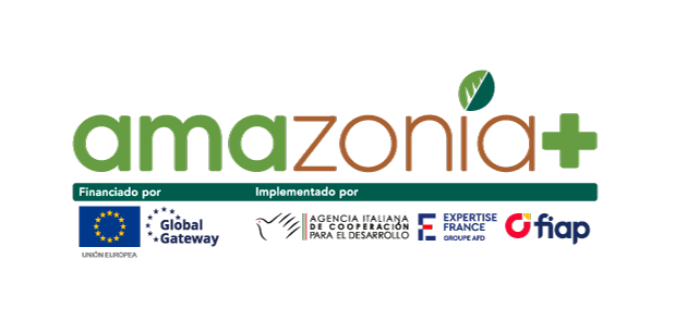 Programa Amazonia +