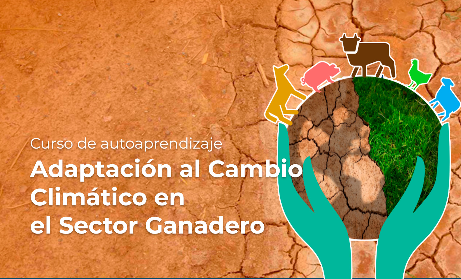 El comercio agrícola internacional en América Latina y el Caribe