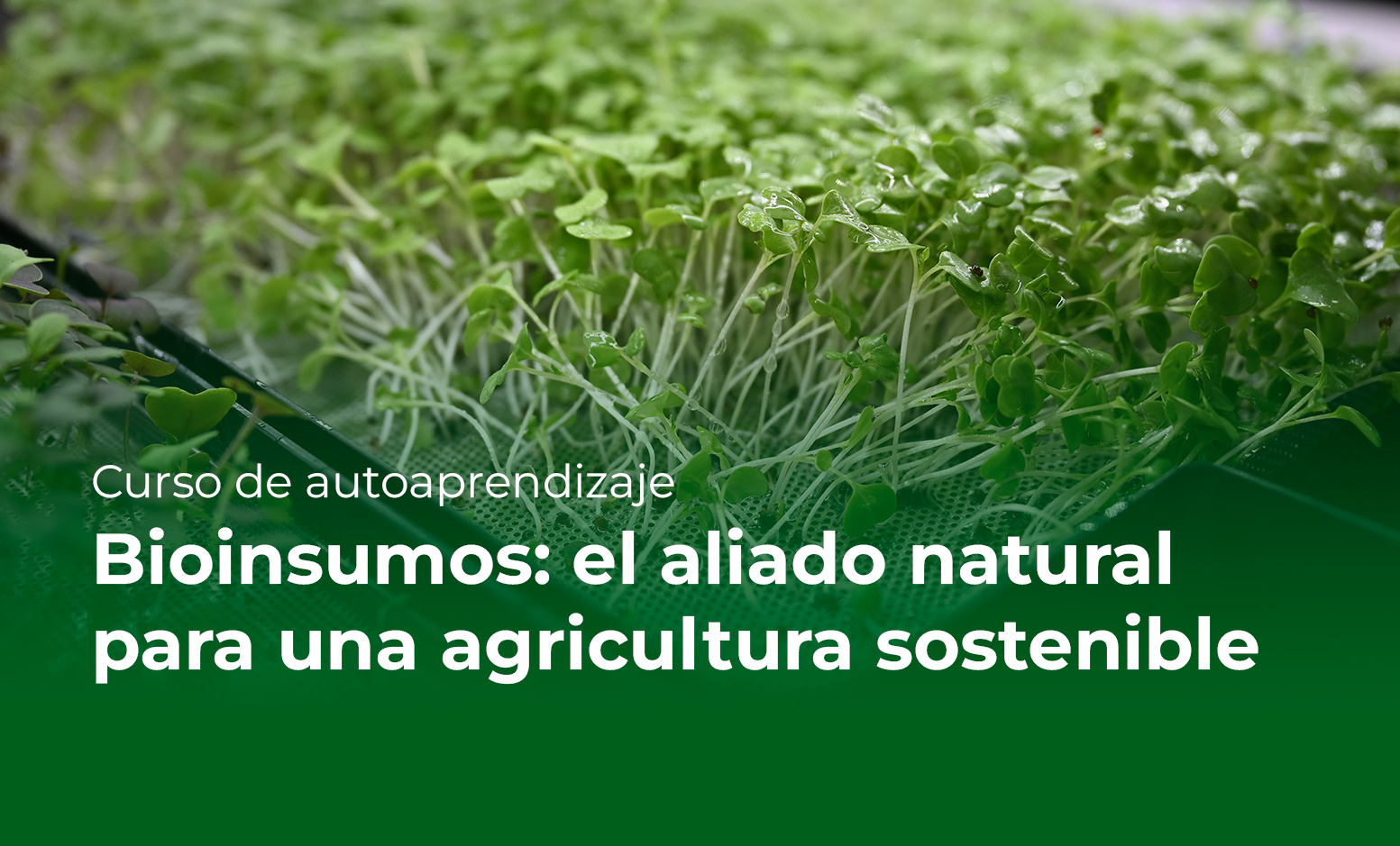 El comercio agrícola internacional en América Latina y el Caribe