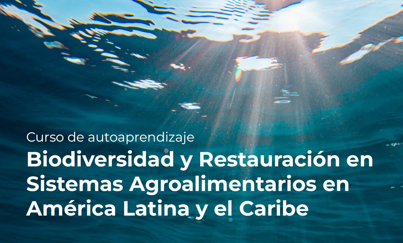Biodiversidad y Restauración en Sistemas Agroalimentarios en América Latina y el Caribe