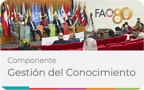 Gestión del conocimiento