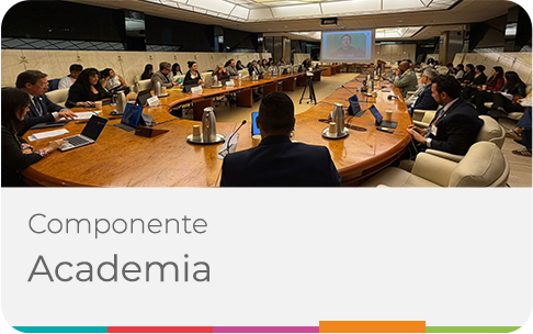 Academia
