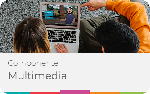 Multimedia