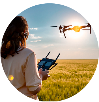 Transferencia tecnológica para la innovación agroalimentaria