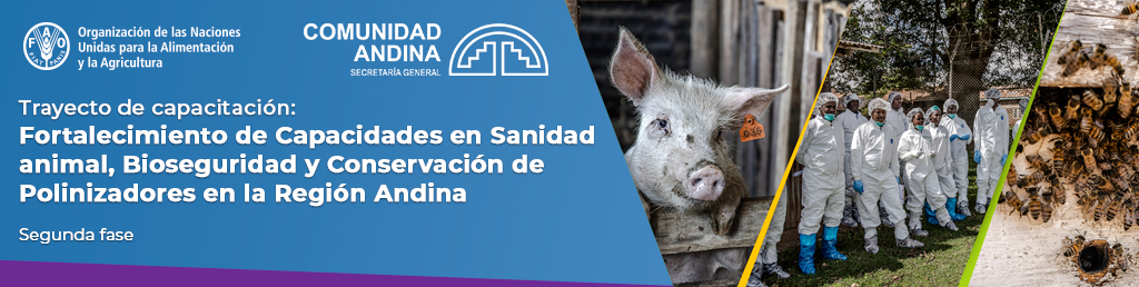 Trayecto de Capacitación