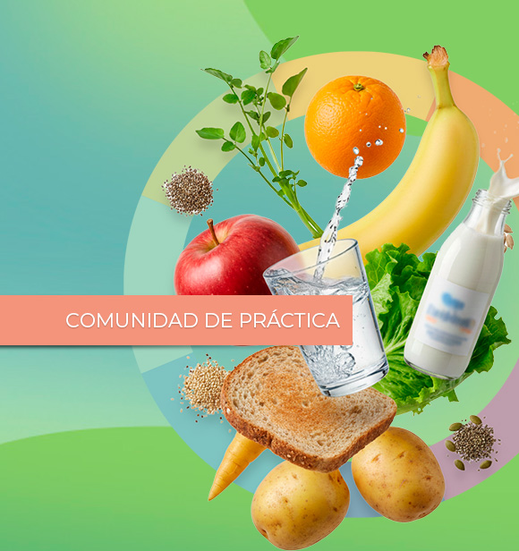 Comunidad de Práctica Regional en Inocuidad Alimentaria